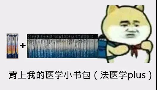 解剖、生理、组胚、病理、生化、内、外、妇、儿、耳鼻咽喉、法医病理、法医临床、法医物证…… | 作者制图