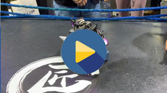 格斗机器人圆你儿时的竞技梦