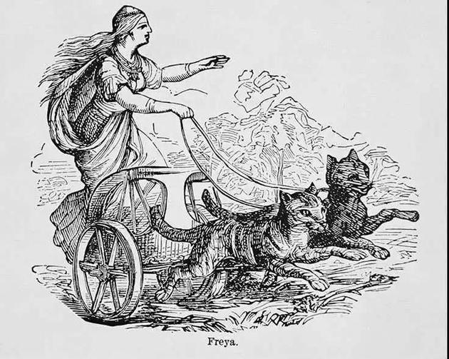 弗雷娅(Freya)女神站在由两只凶猛有力的猫拉着的战车里。路德维希·皮奇(Ludwig Pietsch),1865年,木刻版画。图源:Getty Images