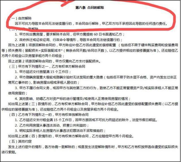 合同条款