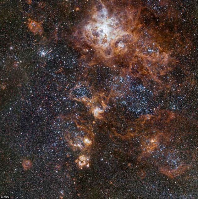 蜘蛛星云又称剑鱼座30(30 Doradus),是本星系群(Local Group,包括银河系在内的一群星系)中最明亮、最活跃的恒星形成区域