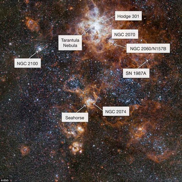 蜘蛛星云的核心处有一个年轻的巨型星团,称为NGC2070。这个星团的中心是被称为R136的超星团,拥有一些已知体积最大和最明亮的恒星