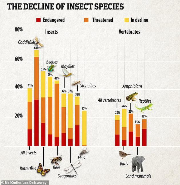 过去十年来,全世界41%的昆虫物种处于衰退之中。自1990年以来,英国农田环境中的蝴蝶数量下降了27%,在林地环境中则下降了58%。