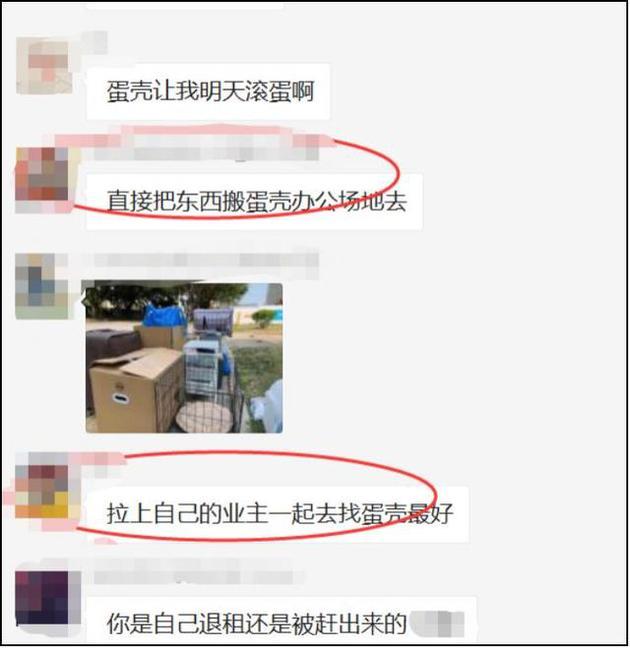 蛋壳租户群对话