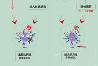 屠呦呦团队放大招：“青蒿素抗药性”等研究获新突破