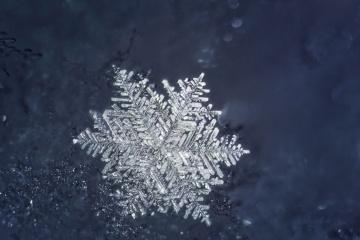 为何每片雪花都如此独特?答案与水蒸气、温度和概率有关。