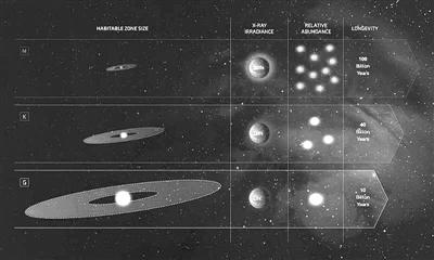 这张图片比较了银河系中G型恒星、M型红矮星和K型矮星的不同特征。图片来源:NASA官网