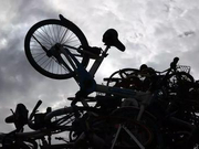 张鹏:摩拜股东会被直播 有股东与公司价值不在一条线