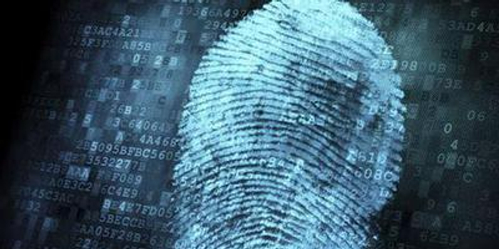 头部厂商争推屏下指纹识别手机 技术研发步入