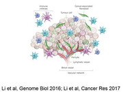 科学大家|如何治愈癌症:个性化精准医疗将发挥大作用