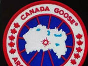 5500元的加拿大鹅 鉴定3次仍真假不明！网易考拉说…