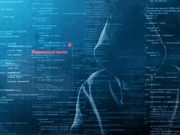 拼多多不哭 薅羊毛的江湖水太深