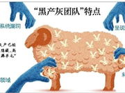 拼多多优惠券原为《非诚勿扰》定制 涉事订单已冻结