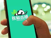 熊猫直播明天清场!18日全体解散关服务器 尚无接盘方