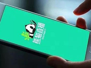 熊猫谢幕：一场王思聪也无力翻盘的直播赛事