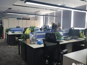 突然破产，王思聪的熊猫直播是怎么黄的？