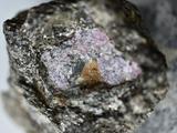 科学家在原始红宝石内部发现了25亿年前生命的痕迹