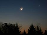 8日白天月掩金星，晚上金星合月