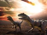 恐龙灭绝于哪个季节？科学家确认小行星撞击地球时北半球正处于春夏