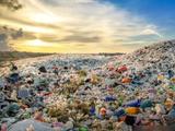 《自然》：最短一天，塑料彻底降解！塑料污染难题迎重大突破