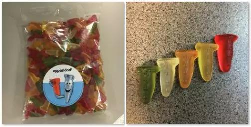 Eppendorf送了离心管形状的软糖(能吃!)我们觉得这个糖应该用上下半截不同色来更好地表示离心前后。供图:作者