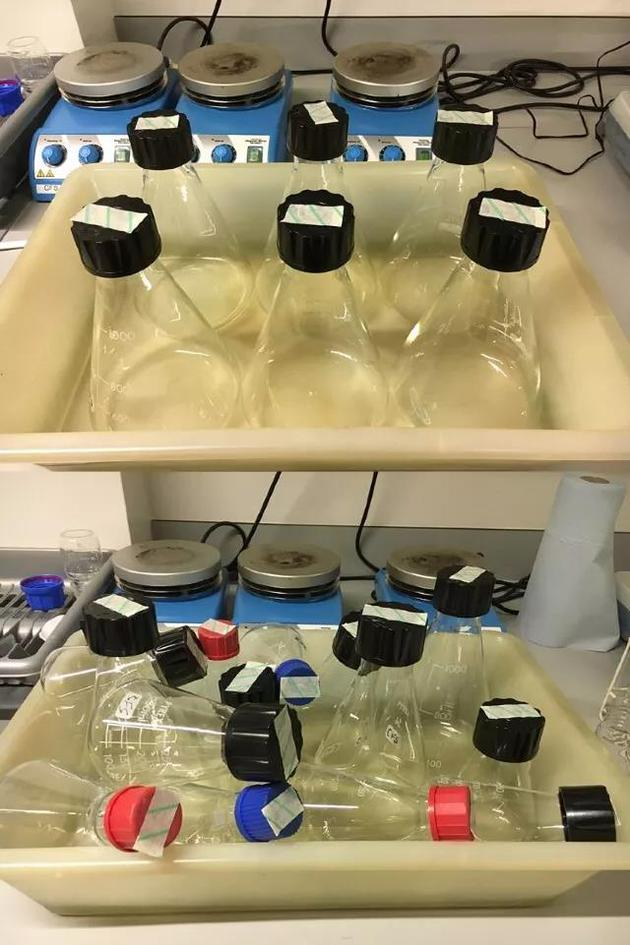 理想的一天(上) VS。 真实的一天(下)。供图:作者