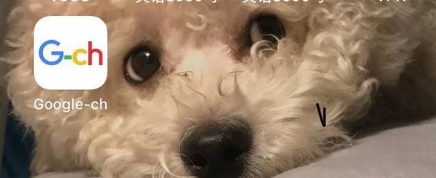 图片来源:知乎