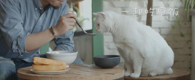 日食记