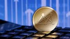 薛洪言：为何多数区块链概念公司，都是在割韭菜？