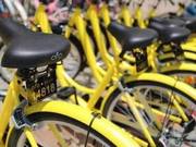 ofo回应“资金告急”传闻：各项业务有序运转