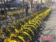 共享单车企业频遭押金危机 信用免押金呼声渐高