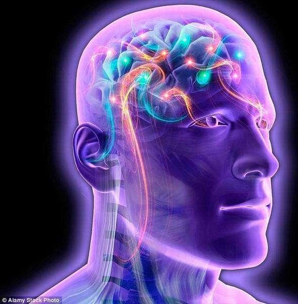 载入其他人意识的人体,从严格意义上讲并不是人类,但它可能具备我们所认为的“人类特征”,比如:理性、类似人类的关注和情感,它可能像人类一样。