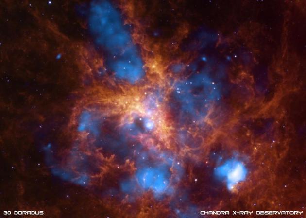 图为蜘蛛星云,该区域形成的大型恒星数量奇多。