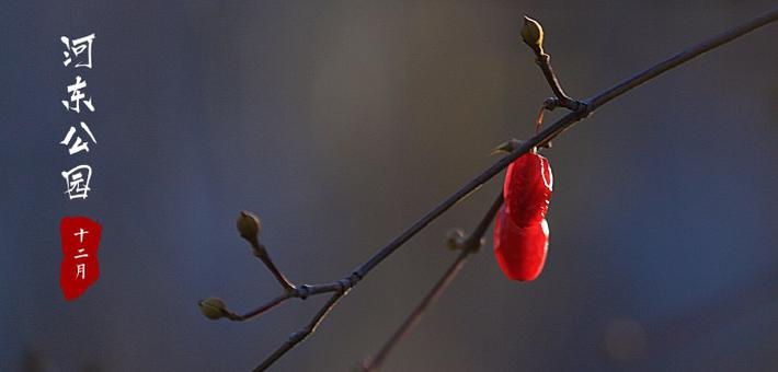 清晨的河东公园！