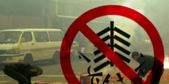 武清区人民政府关于禁止、限制燃放烟花爆竹的
