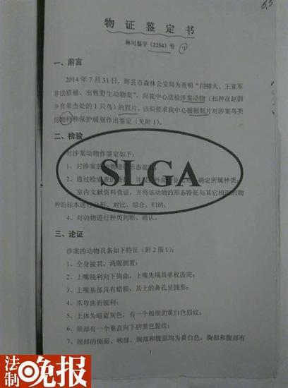 (对闫啸天掏的鸟经鉴定为燕隼、国家二级保护动物)