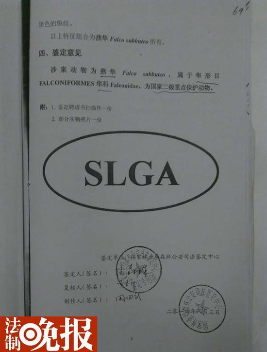 (对闫啸天掏的鸟经鉴定为燕隼、国家二级保护动物)