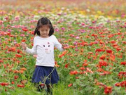 海南2017年启动高考改革 一本二本合并录取