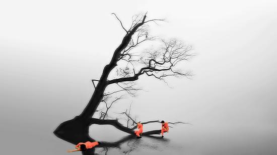 董荃,夏末,单屏录像,11’22″,2015