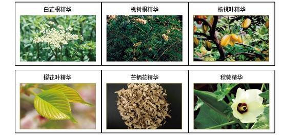 蕴含杨桃叶萃取精华、秋葵萃取精华、芒柄花萃取精华等