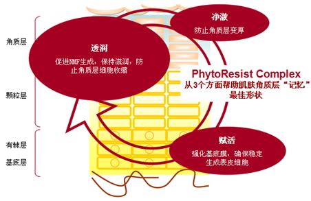 PhytoResist Complex的3大机能