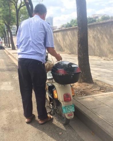 虐狗图