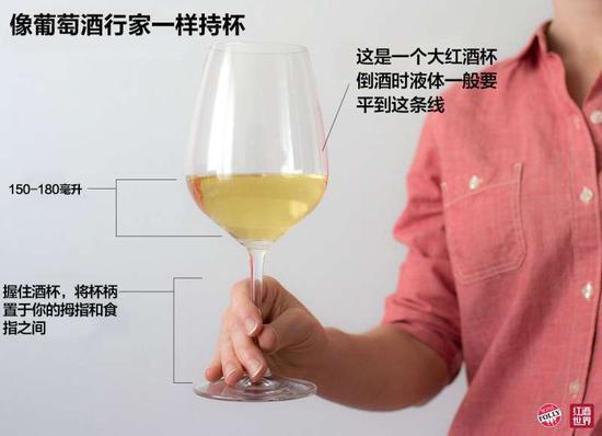 正确持杯展现品酒的优雅一面