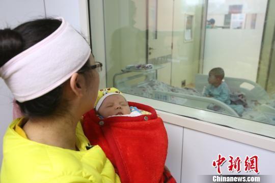 资料:满月小宝脐带血造血干细胞成功挽救四岁哥哥生命。