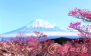 日本富士山