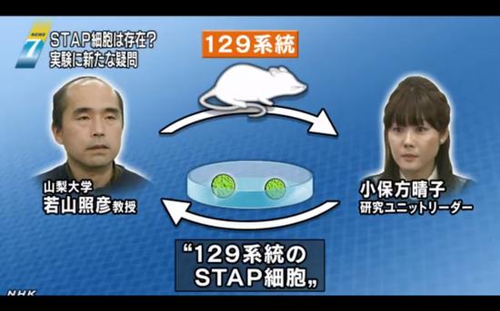 【3月28日】