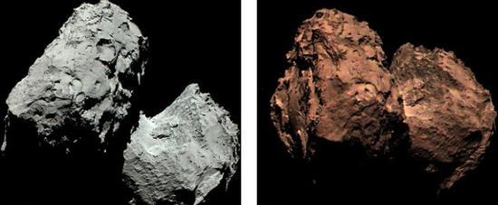 67P/丘留莫瓦-格拉西梅彗星。经过10年的追赶,“罗塞塔”号探测器最终与这颗彗星会和并且成功释放“菲莱”号着陆器登陆。在《科学》杂志评选的年度十大科学突破排行榜中,“罗塞塔”号任务位列榜首。利用“罗塞塔”号传回的数据,科学家绘制了一幅67P/丘留莫瓦-格拉西梅彗星真色图像(右)。如果用肉眼观察这颗彗星,你看到的就是这种景象。