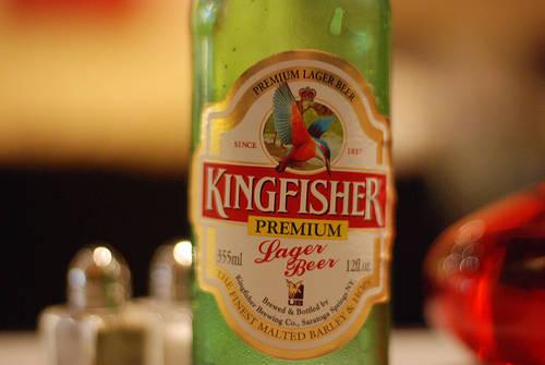 印度——翠鸟Kingfisher
