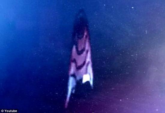UFO观测者托比·伦德宣称他看到在空间站的外侧有一个UFO,随后直播画面就被切断,信号一直中断了大约10~15秒。这名UFO观测者宣称他截屏到了相关画面(如图所示),时间是在今年1月6日的美国宇航局直播画面中。这个物体很像是《星际迷航》中的星际飞船