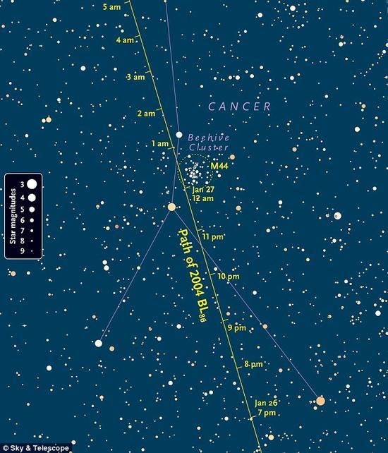 在小行星2004 BL86亮度达到最大时(视星等大约9等),其位置大约在鬼星团(梅西耶编号M44)附近,此时小行星正在向北运动,穿过暗淡的巨蟹座。